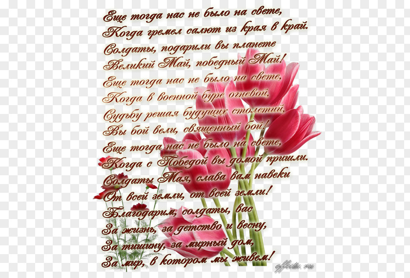Maja Victory Day Text Verse Holiday Garden Roses PNG