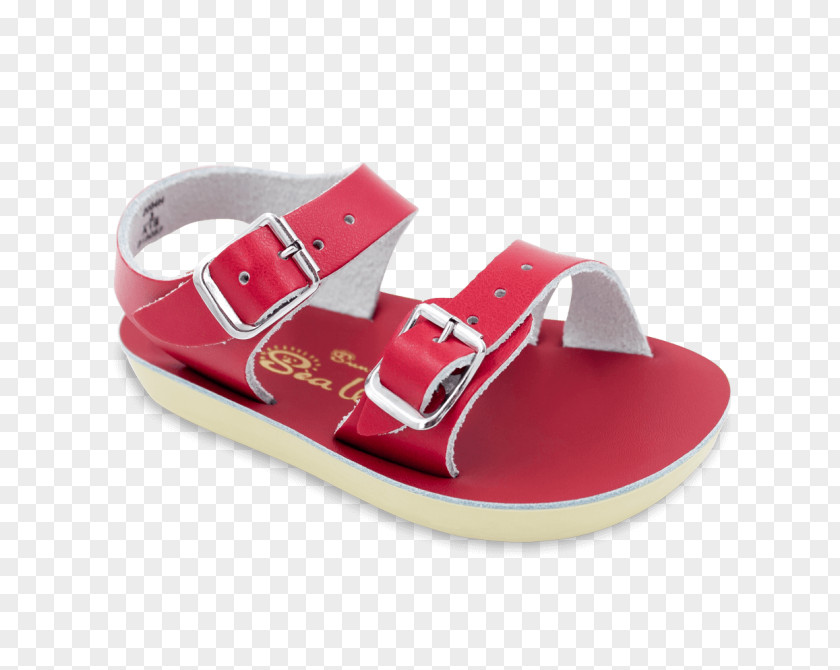 Sandal Saltwater Sandals Hoy Shoe Co Clothing PNG