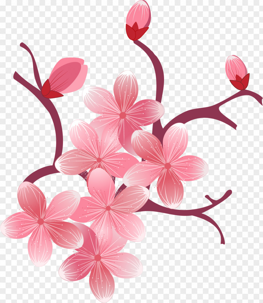 Spring Flower Cherry Blossom Desktop Wallpaper PNG