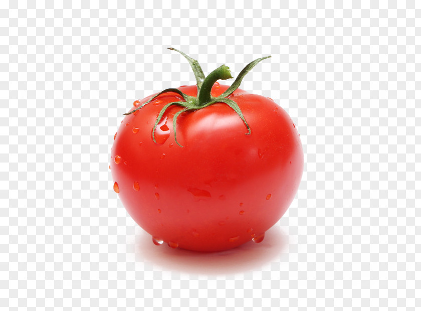 Vegetable Plum Tomato Bush Cherry Stock Photography Food PNG