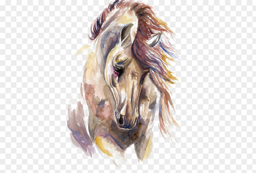 Watercolor Horse PNG horse clipart PNG
