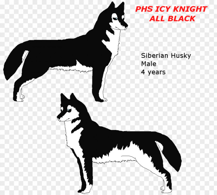 Bear Dog Breed Siberian Husky Karelian PNG