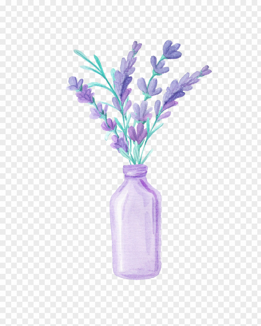 Beautiful Lavender Drawing PNG
