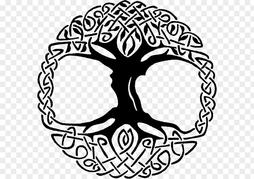 Celtic Tree Celta Of Life Vector Graphics Clip Art Illustration Cdr PNG