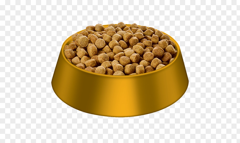Dog Bowl Food Puppy Science Diet PNG