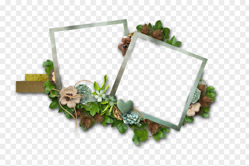 Mood Frame Picture Frames Photography E-card PNG