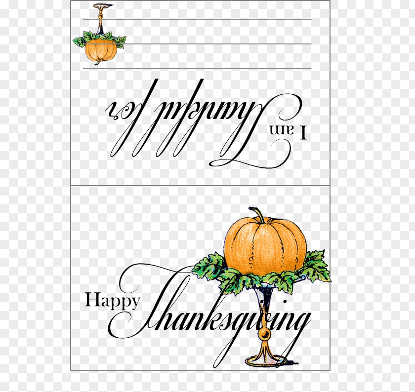 Pumpkin Floral Design Font PNG