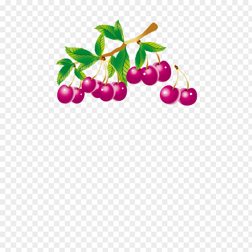 Purple Cherry Fruit Preserves Illustration PNG