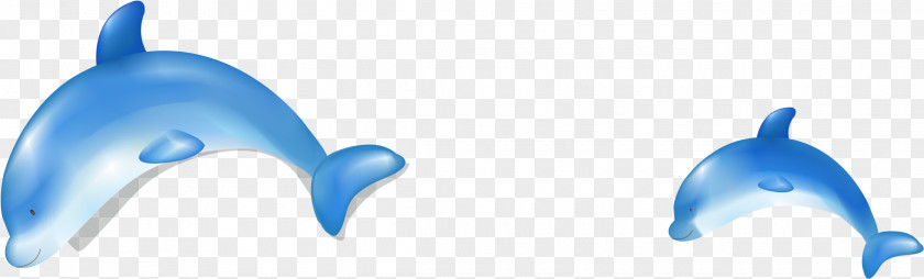 Blue Dolphin Euclidean Vector PNG