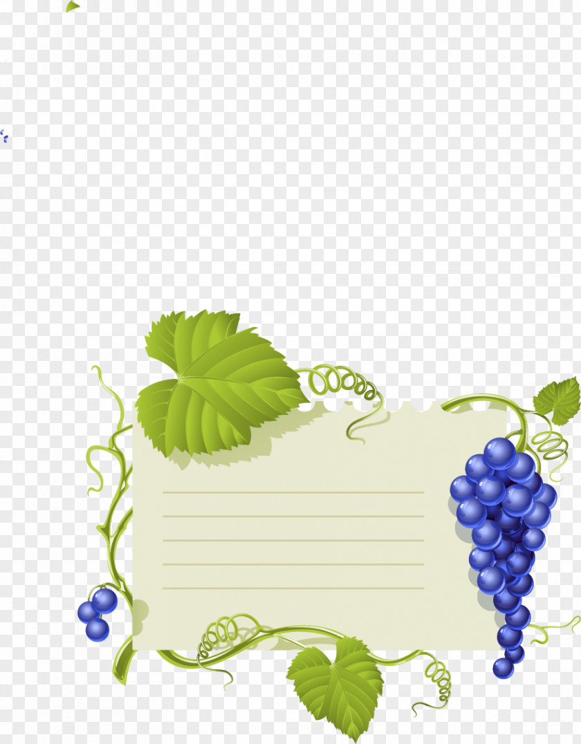 Fruit Notes Common Grape Vine Wine Leaves PNG