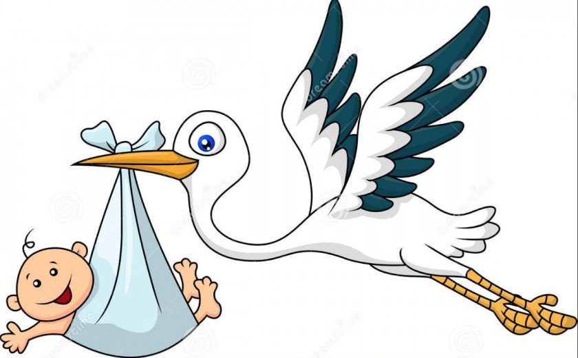 Stork Child Ciconia Drawing PNG