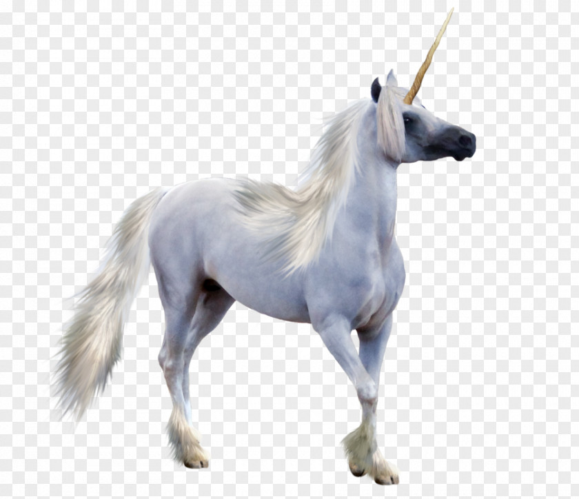 Unicorn Transparent Winged Pegasus PNG