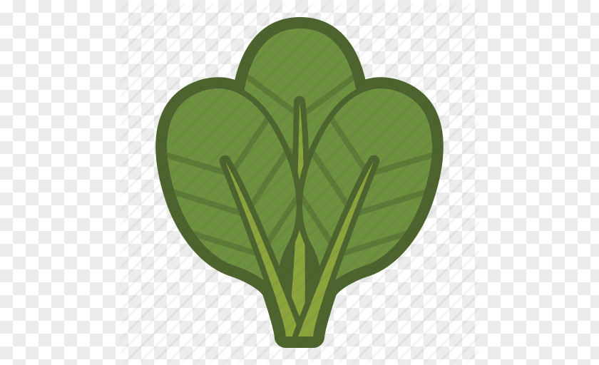 Vector Icon Vegetable Organic Food Spinach Leaf PNG