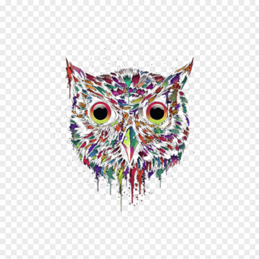 Color Owl Avatar Little T-shirt Bird PNG