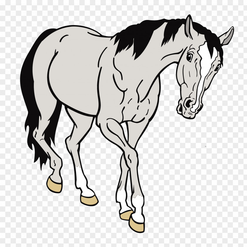 Coloring Book Riding Instructor Horse Cartoon PNG
