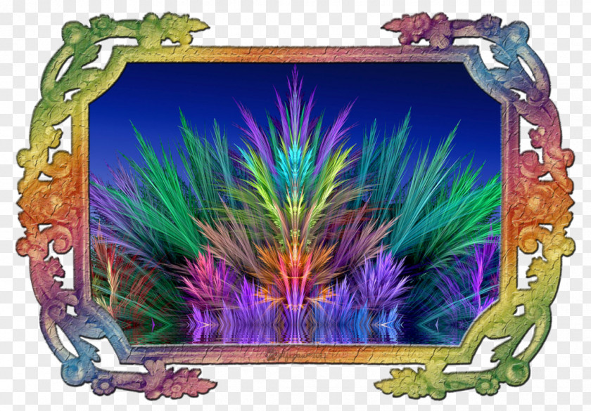 Feather Picture Frames PNG