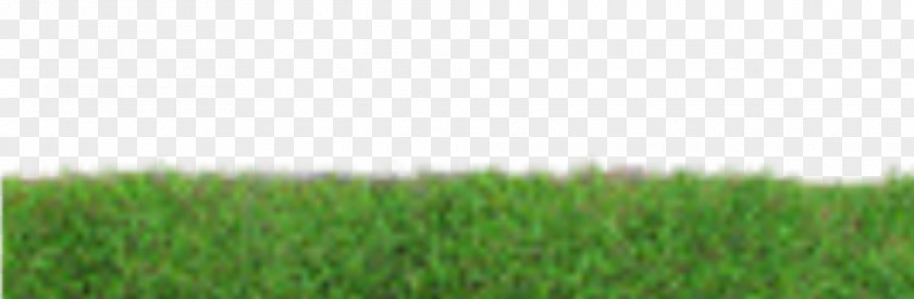 Grass Lawn Photography PNG