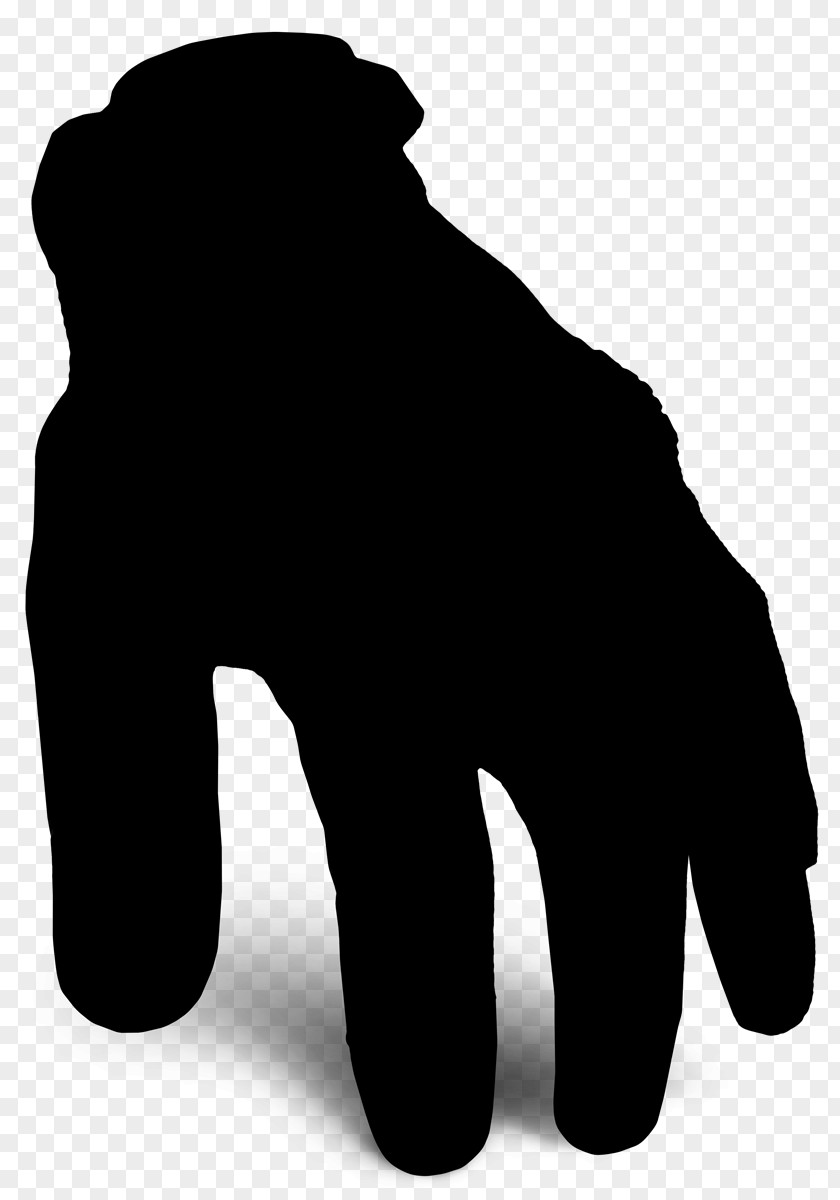 M Mammal Canidae Bear Dog Black & White PNG