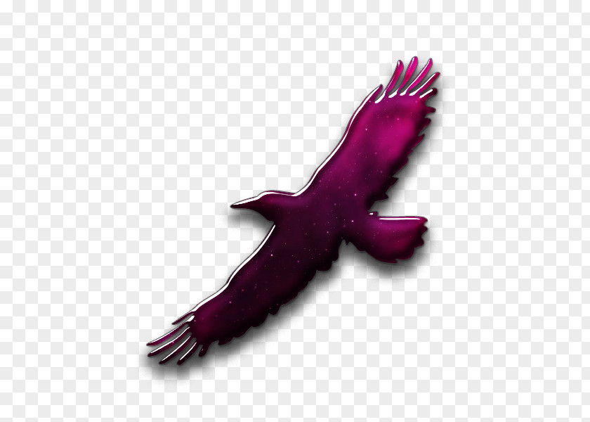 Bird Wing Symbol PNG