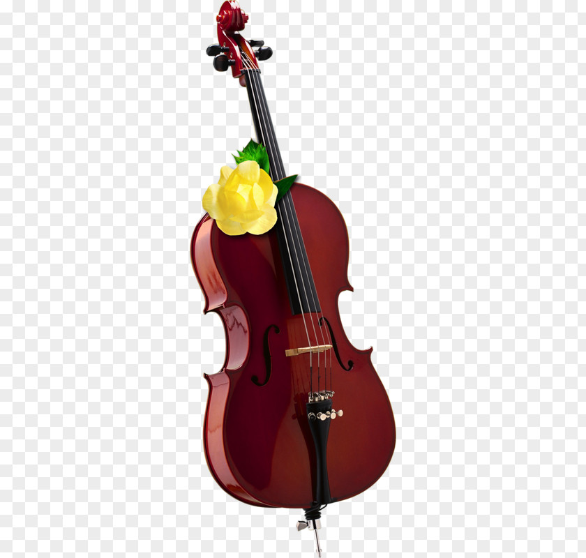 Cello Instrument PNG instrument clipart PNG