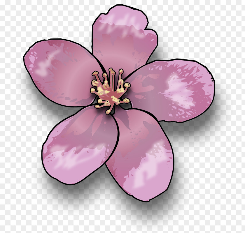 Gorilla Clip Cherry Blossom Peach Art PNG