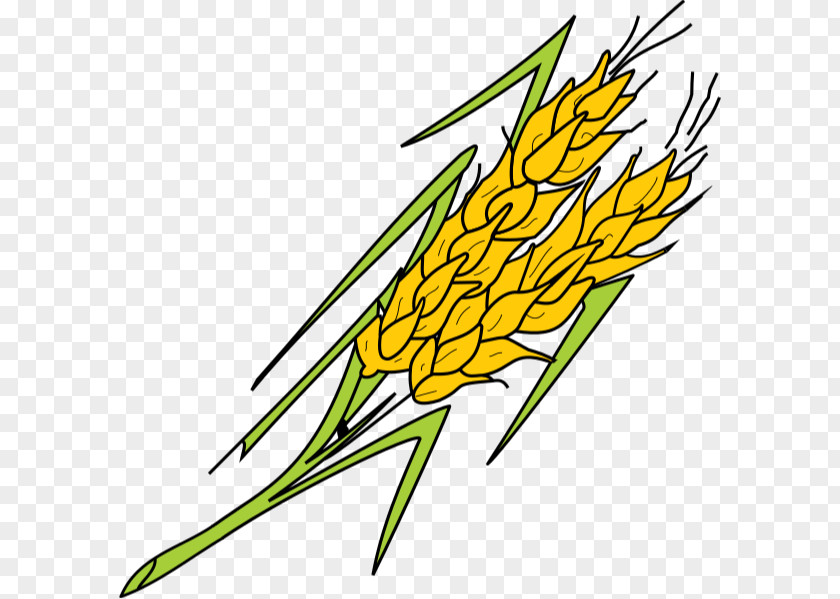 Leaf Grasses Plant Stem Commodity Clip Art PNG
