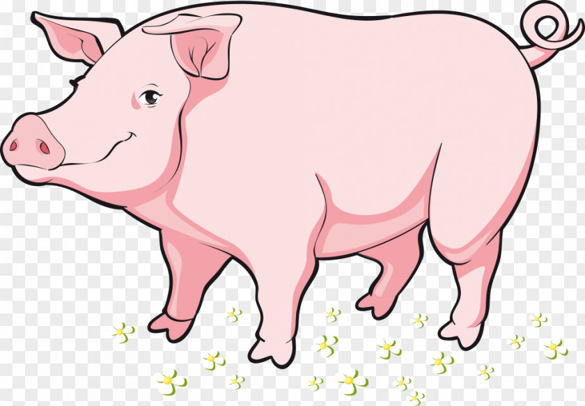 Vector Cartoon Fat Pig Clip Art PNG