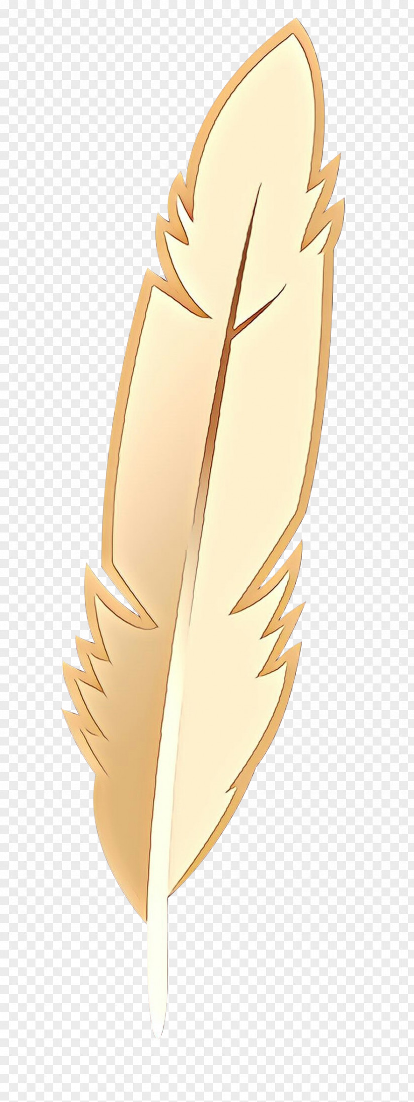 Feather PNG