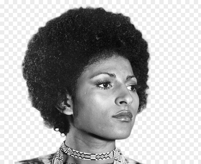 Hair Pam Grier Afro Greased Lightning Hairstyle PNG