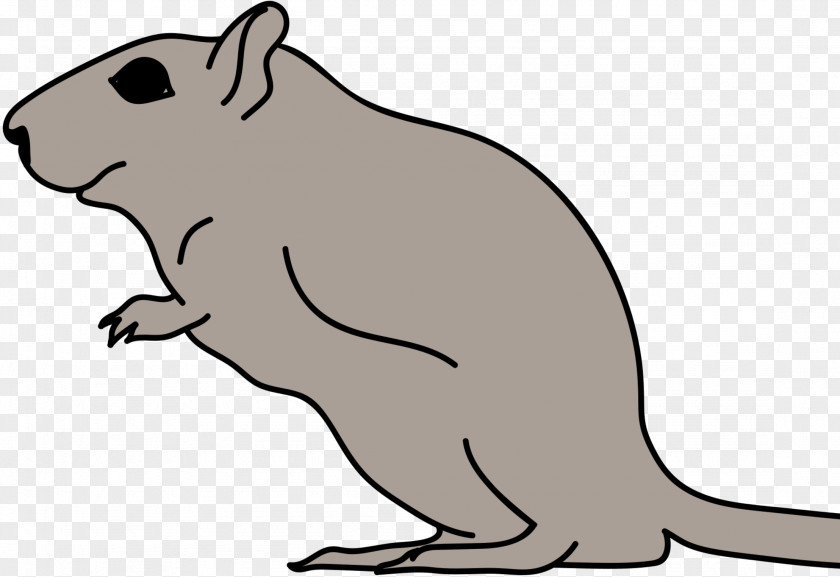 Macropods Beaver Whiskers Canidae Dog PNG