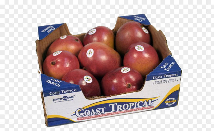 Mango Box Natural Foods Local Food Apple PNG