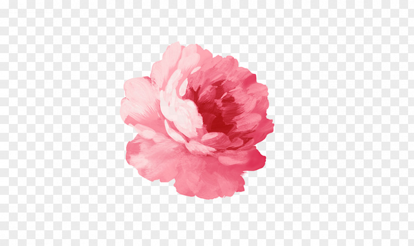 Red Peony Paper T-shirt Flower Sticker Watercolor Painting PNG