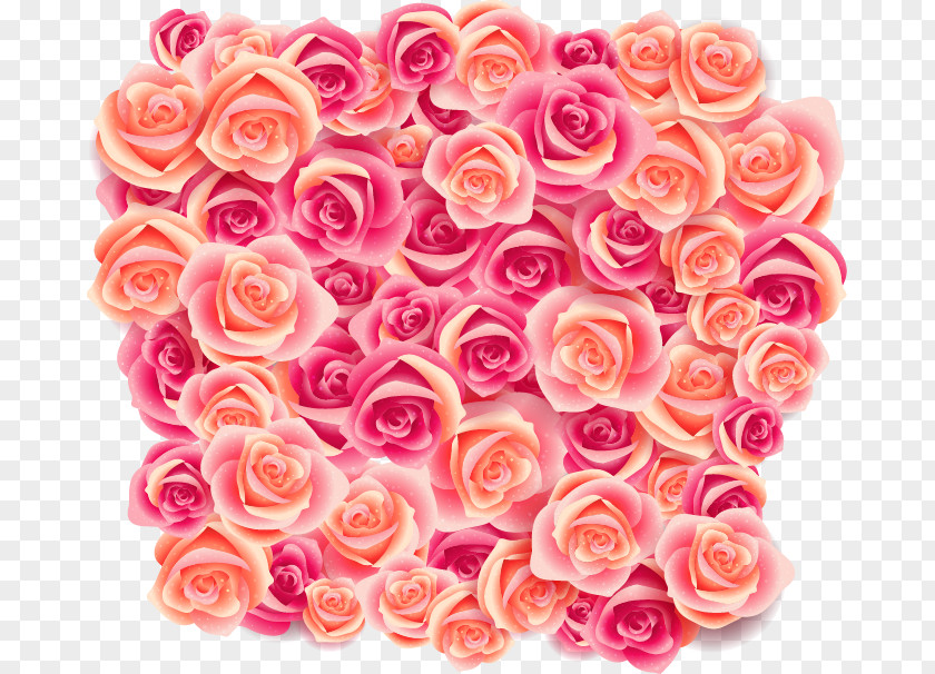Rose Cluster Pattern Beach Rosa Pisocarpa Wallpaper PNG