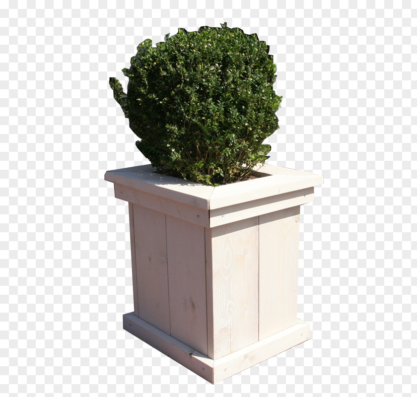 Tree Houseplant Flowerpot Rectangle PNG