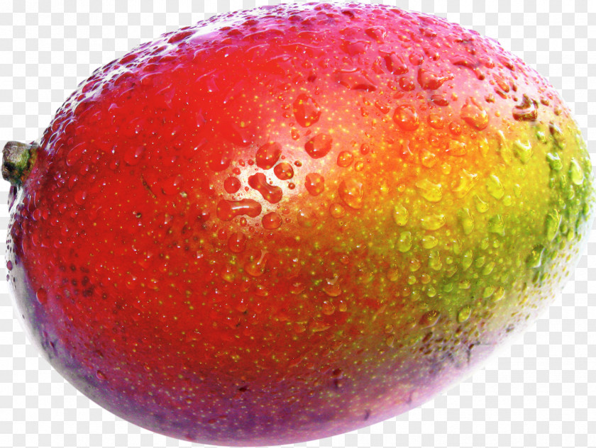 Colorfulness Accessory Fruit Mango Cartoon PNG
