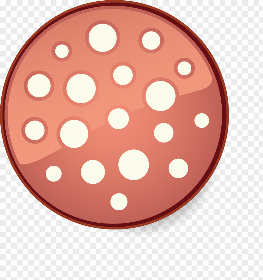 Ham Vector Chocolate Chip Cookie Food PNG