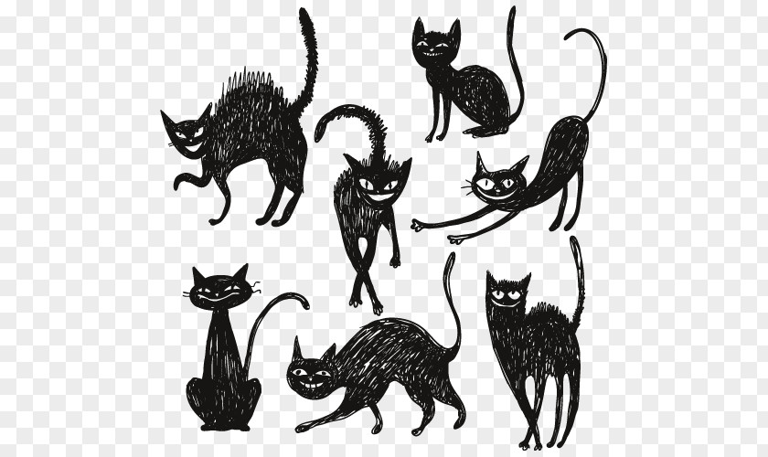 Black Cat Artwork Collection Creative Halloween Drawing Royalty-free Illustration PNG