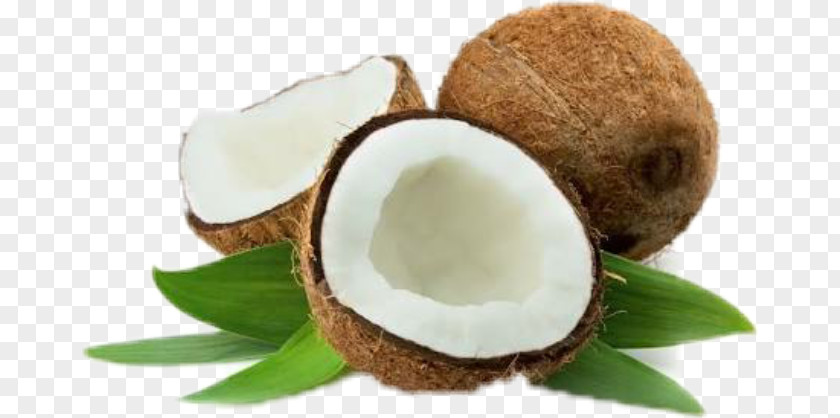 Coconut Candy Water Oil Olive PNG