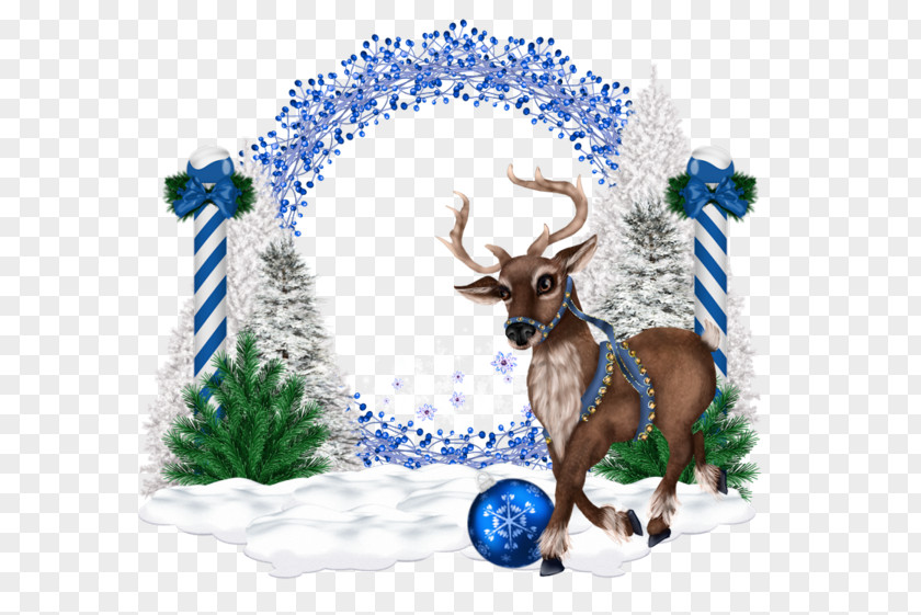 Deer Reindeer Christmas Day Santa Claus Image PNG