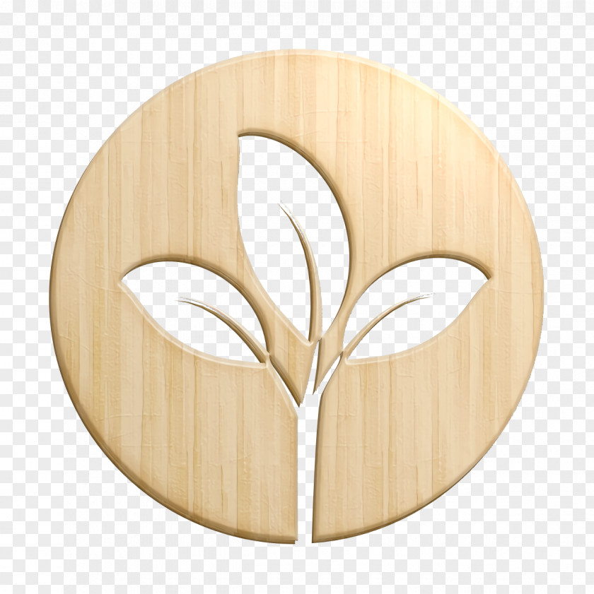 Leaf Icon Plant Nature PNG