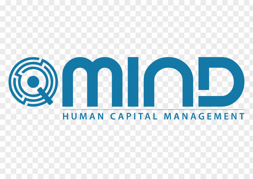 Management Recruitment Qmind Human Capital Job PNG