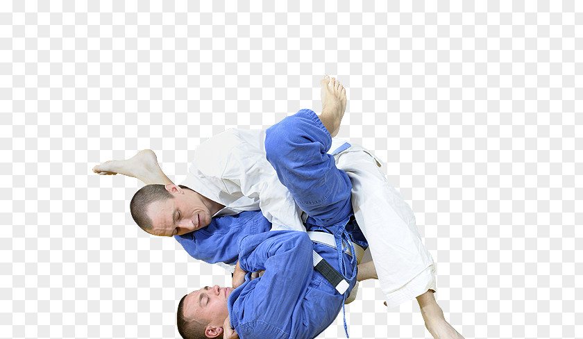 Mixed Martial Arts Brazilian Jiu-jitsu Jujutsu Grappling Kickboxing PNG