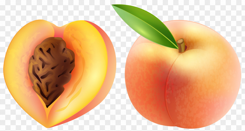 Peach Transparent Clip Art Image Fruit PNG