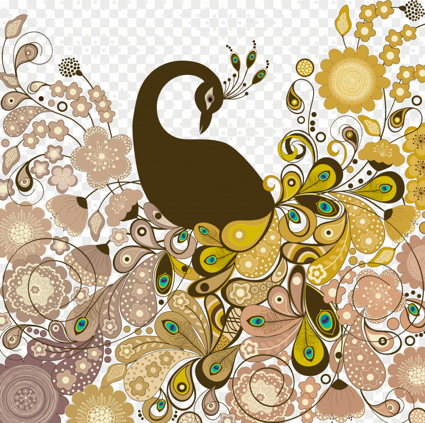 Vector Peacock Peafowl Euclidean PNG