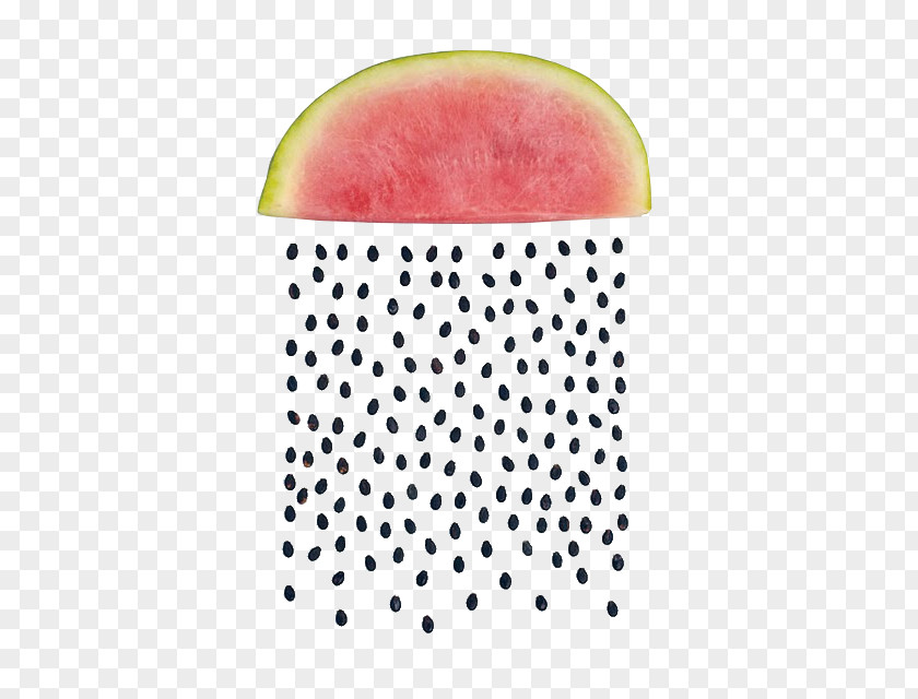 Watermelon Sarah Illenberger Visual Arts Tutti Frutti Artist Illustration PNG