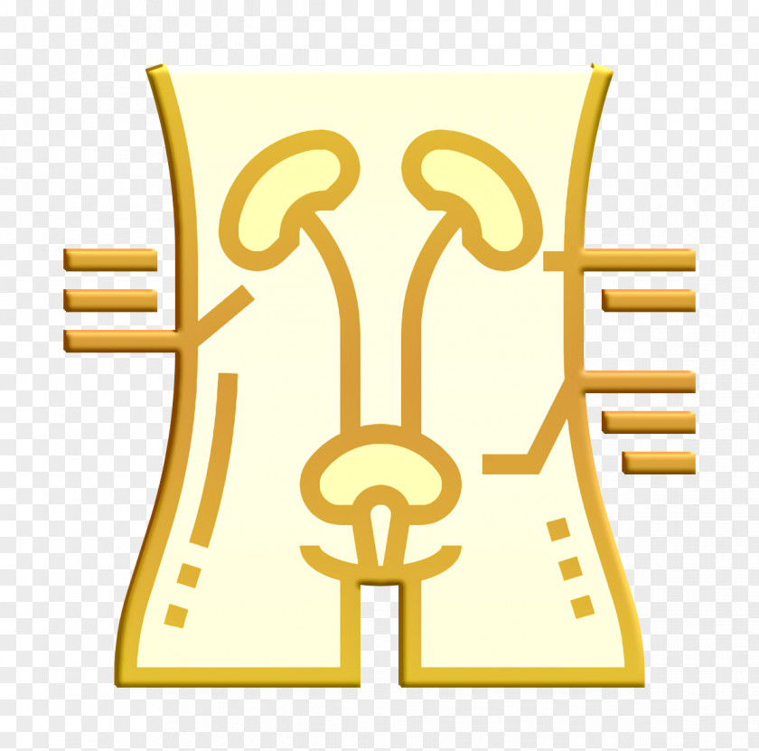 Blood Icon Health Checkups Kidney PNG