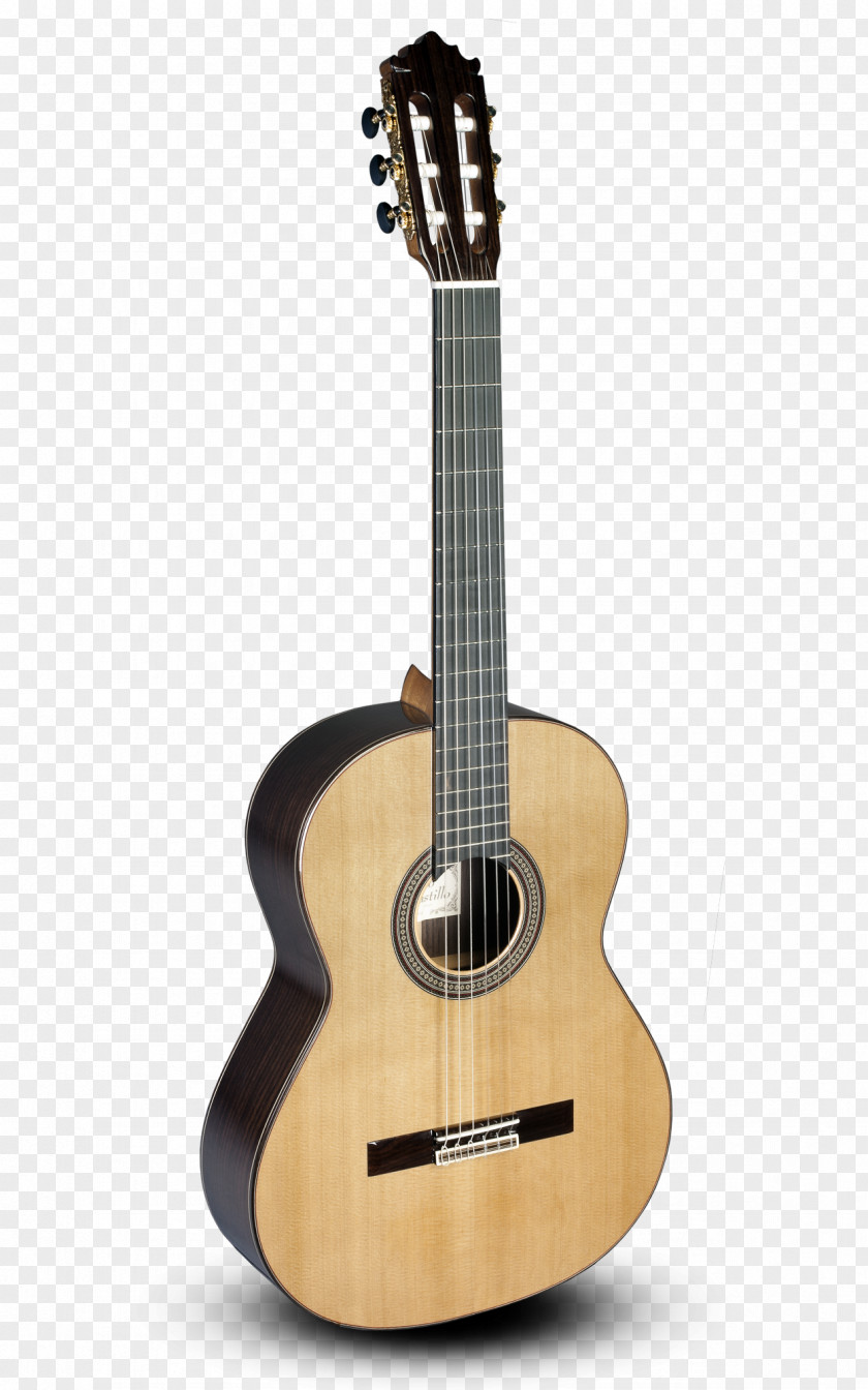 El Castillo Classical Guitar Steel-string Acoustic Fingerboard PNG