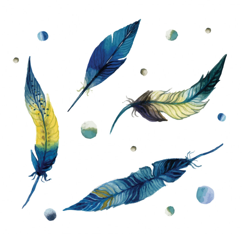 Feather Watercolor Painting Watercolour Flowers Vector Graphics Image PNG