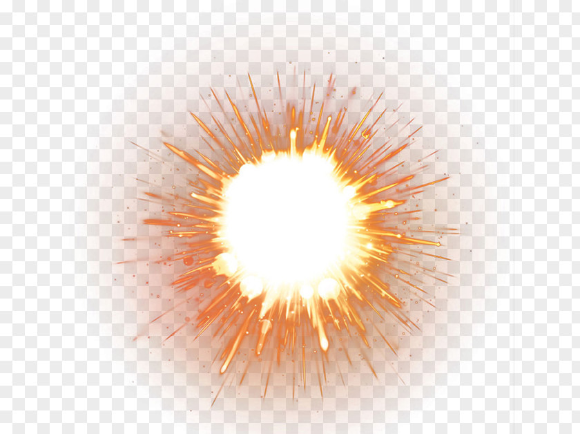 Fireworks Light Flame Fire Explosion Petal PNG