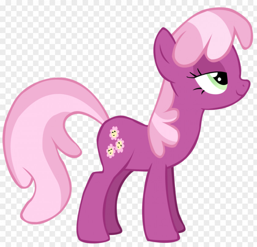 Horse Pony Pinkie Pie Twilight Sparkle Applejack Cheerilee PNG